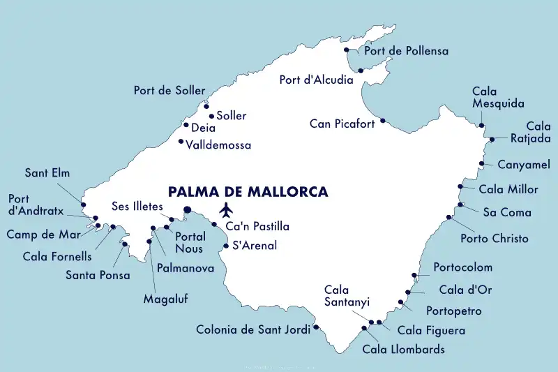 sugar baby palm de mallorca