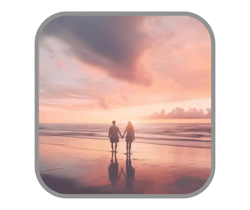 sugar baby palm de mallorca